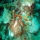 Acropora cervicornis07.jpg