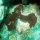 Acropora cervicornis012.jpg
